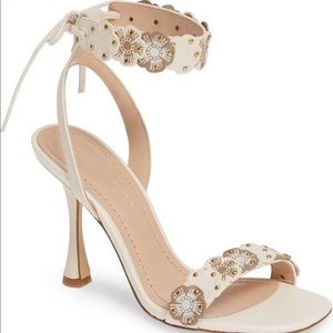 Coach Brodie heels NIB